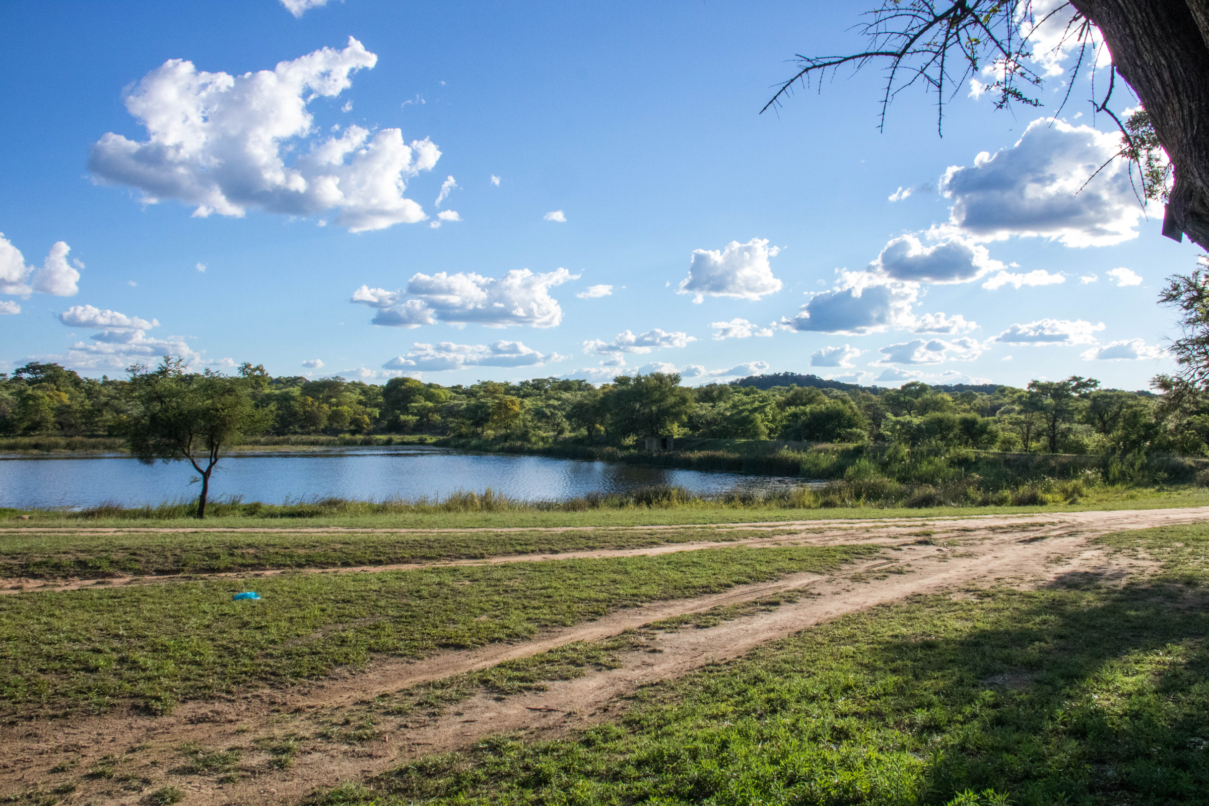 matobo national park (2).webp